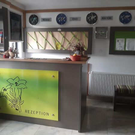Nut House Retezat Hotel Nucsoara  Luaran gambar